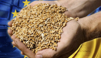 В Болгарії фермери заблокували прикордонні переходи через рішення уряду щодо імпорту зерна з України